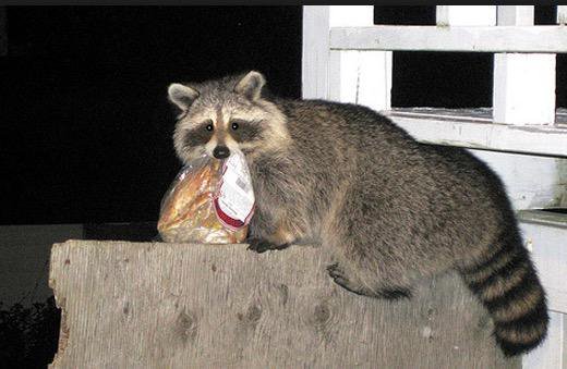 Archillect ID 393004