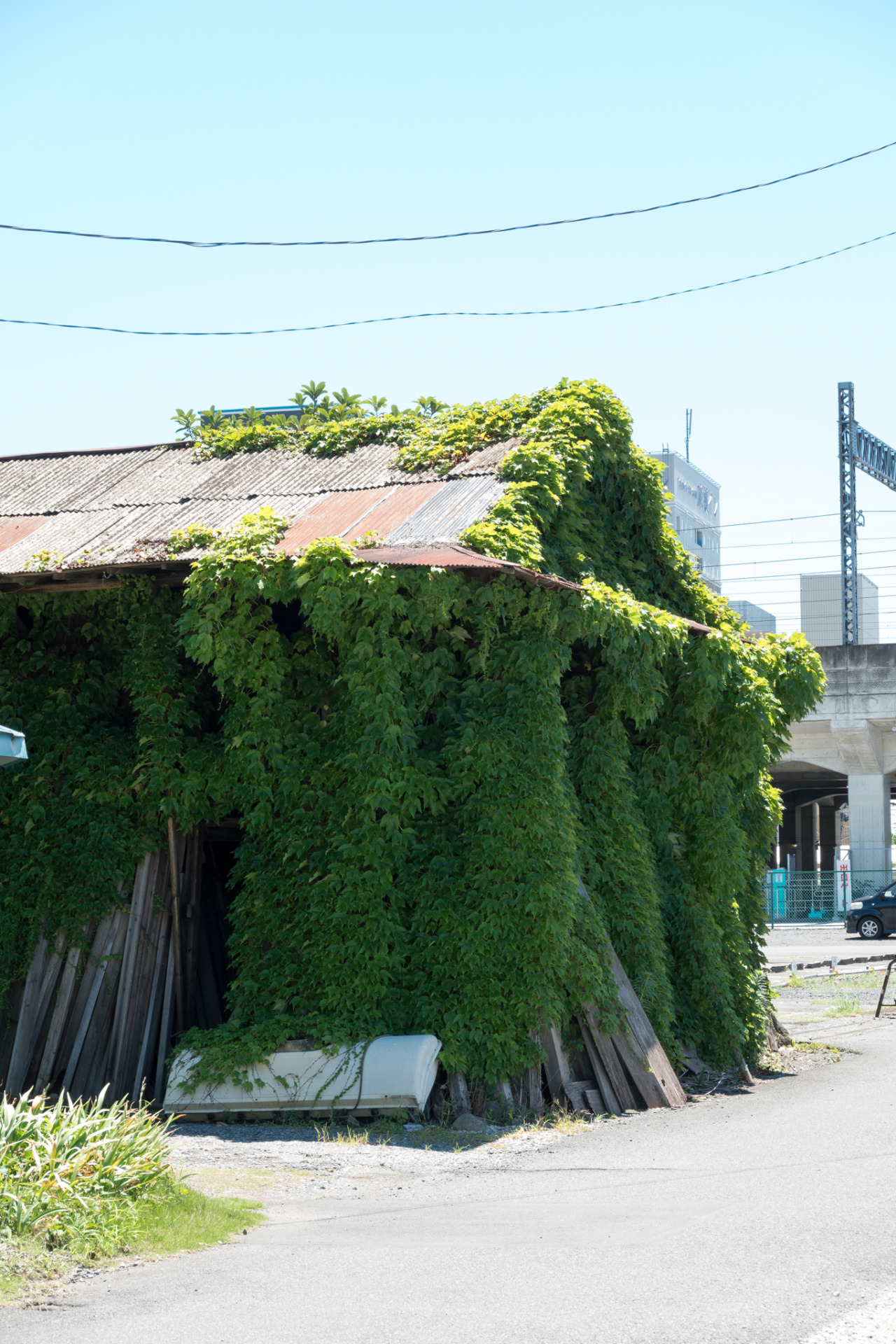 Archillect ID 393012