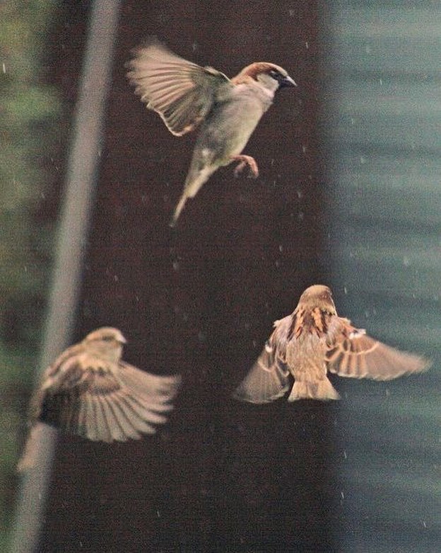 Archillect ID 393054