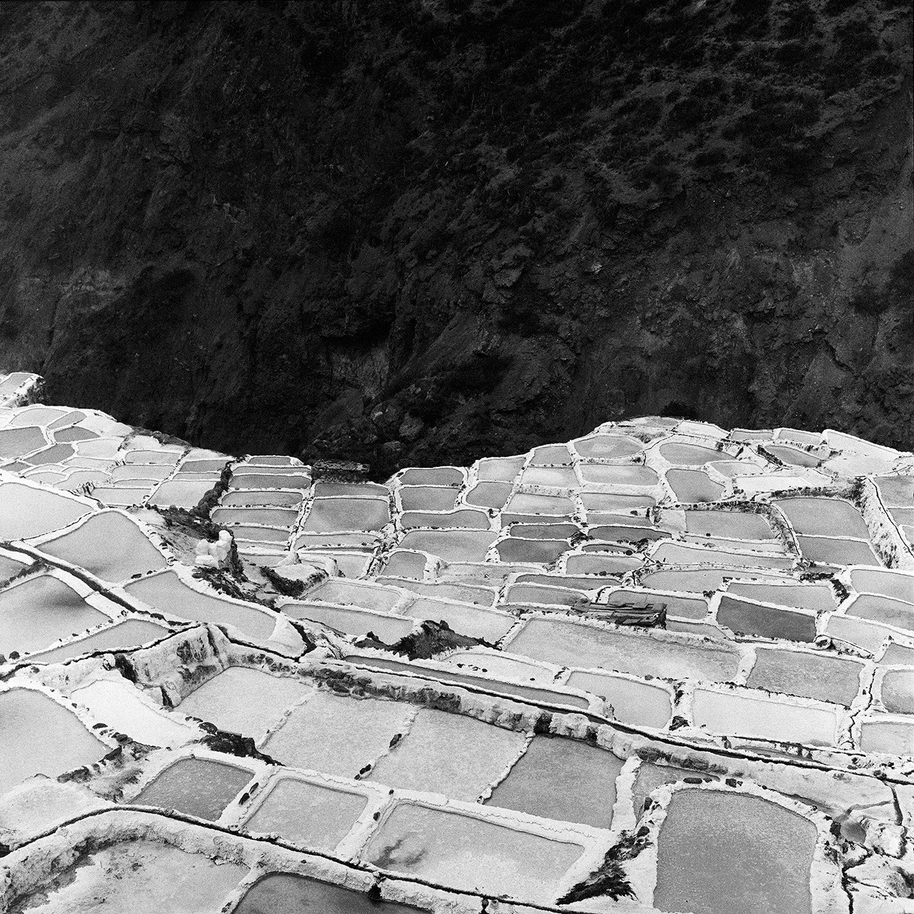 Archillect ID 393103