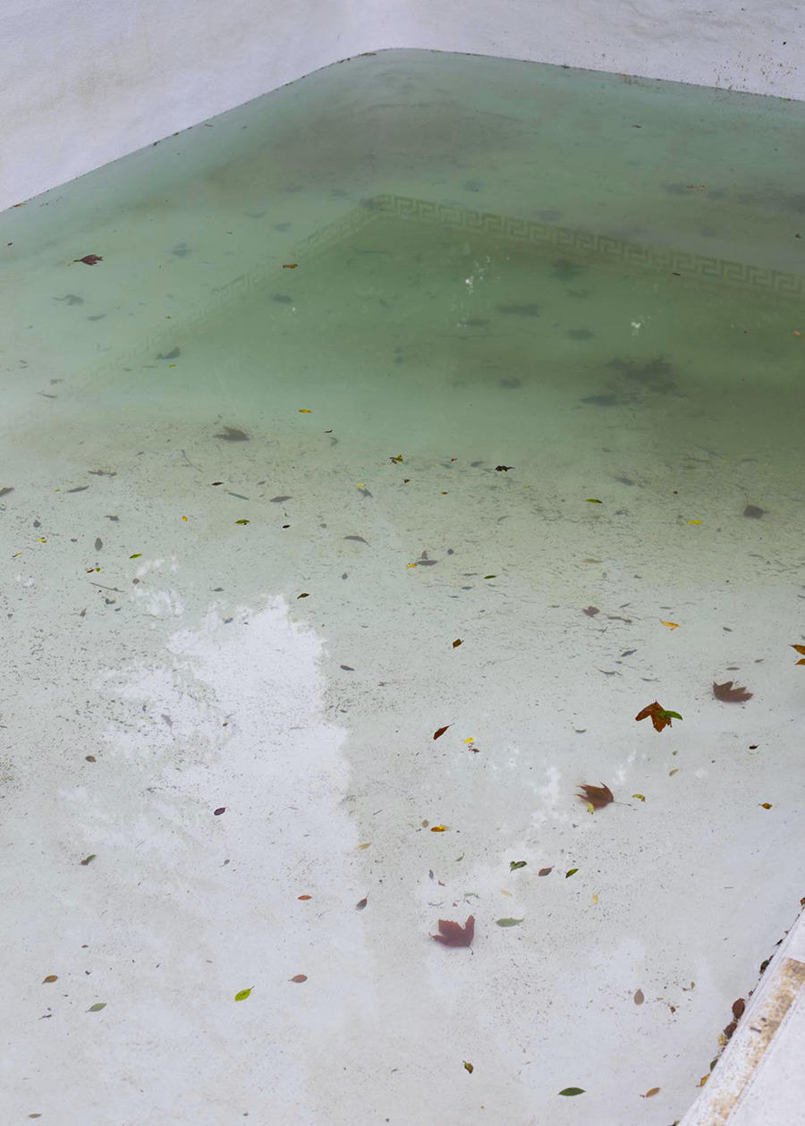 Archillect ID 393105