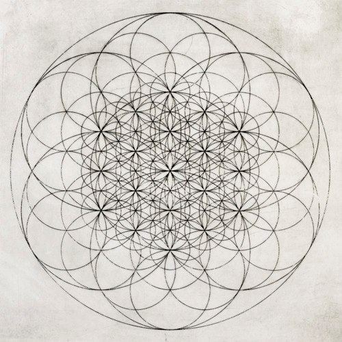 Archillect ID 393108