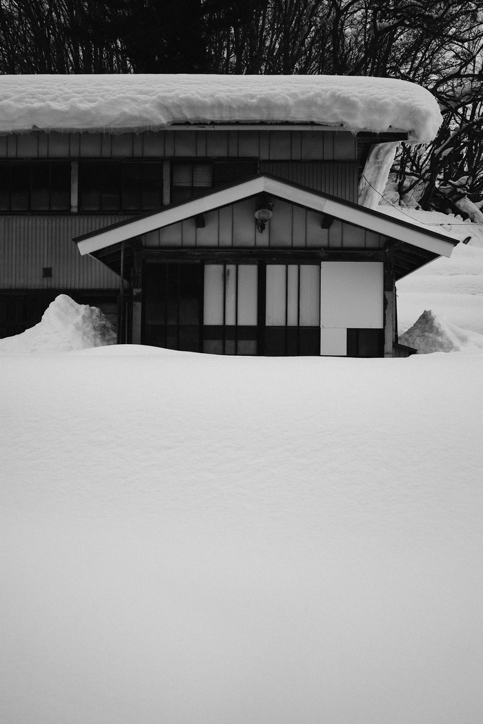 Archillect ID 393111