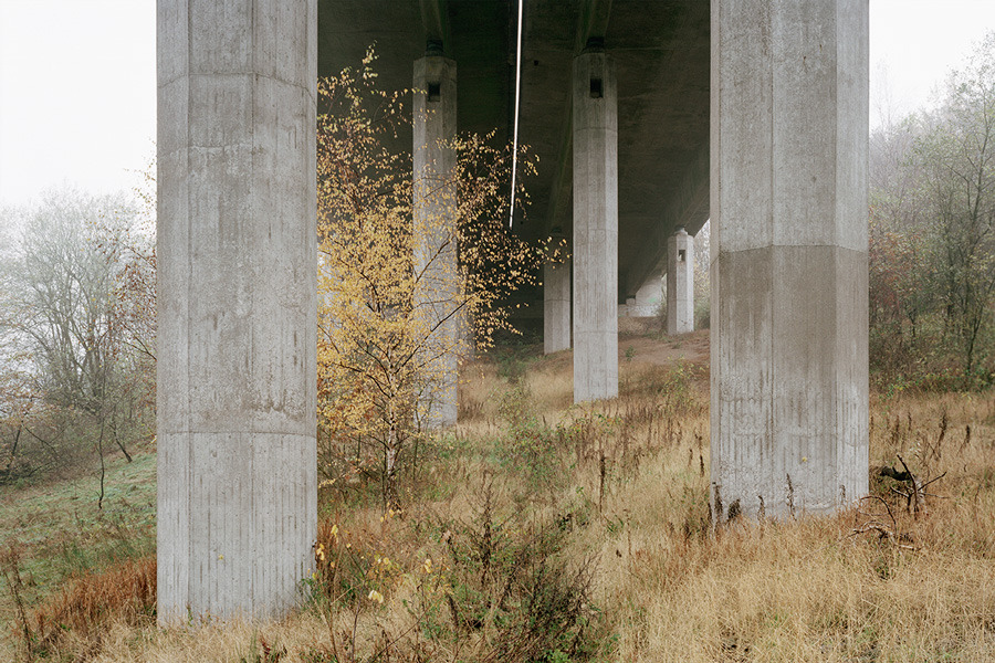 Archillect ID 393133