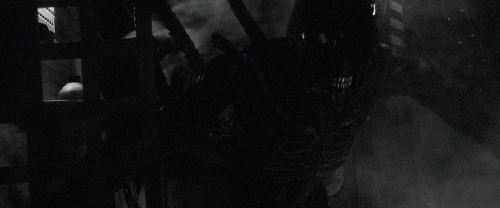 Archillect ID 393210