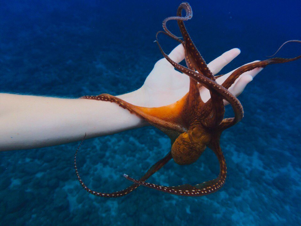 Archillect ID 393213