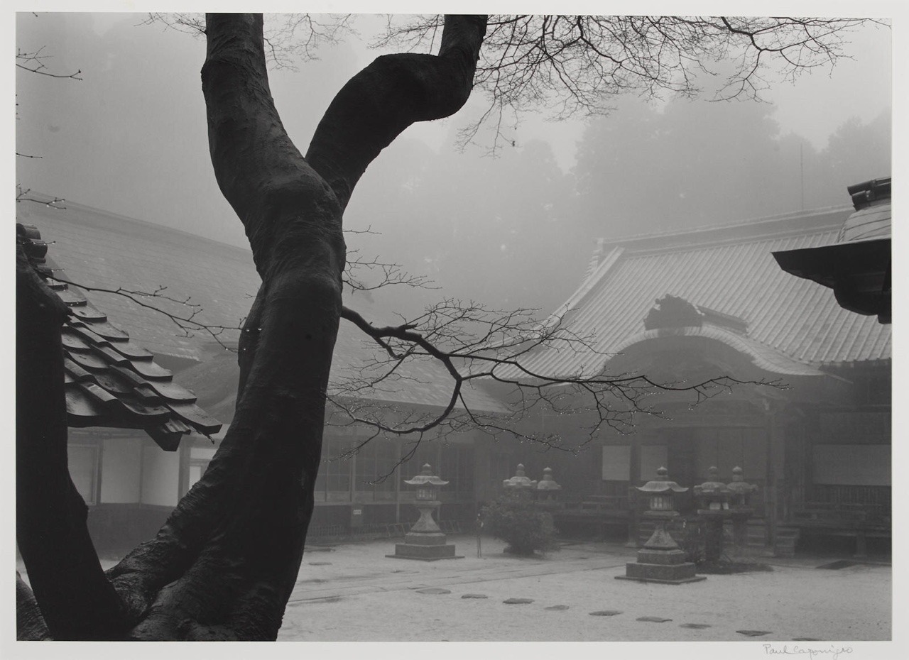 Archillect ID 393220