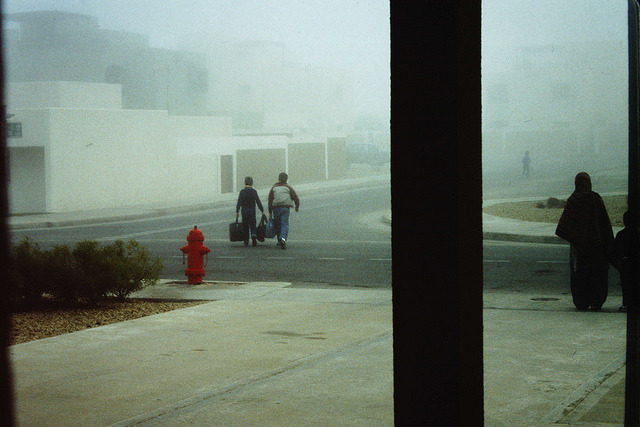 Archillect ID 393293