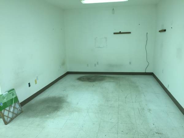 Archillect ID 393325