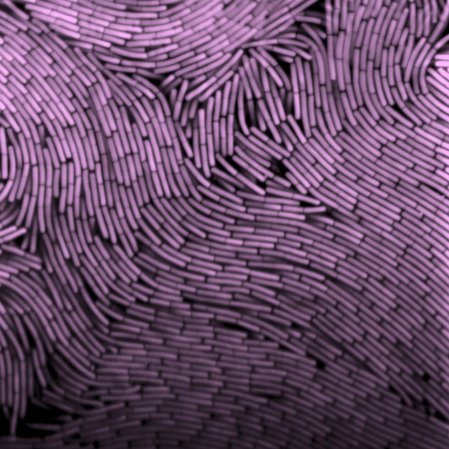 Archillect ID 393335