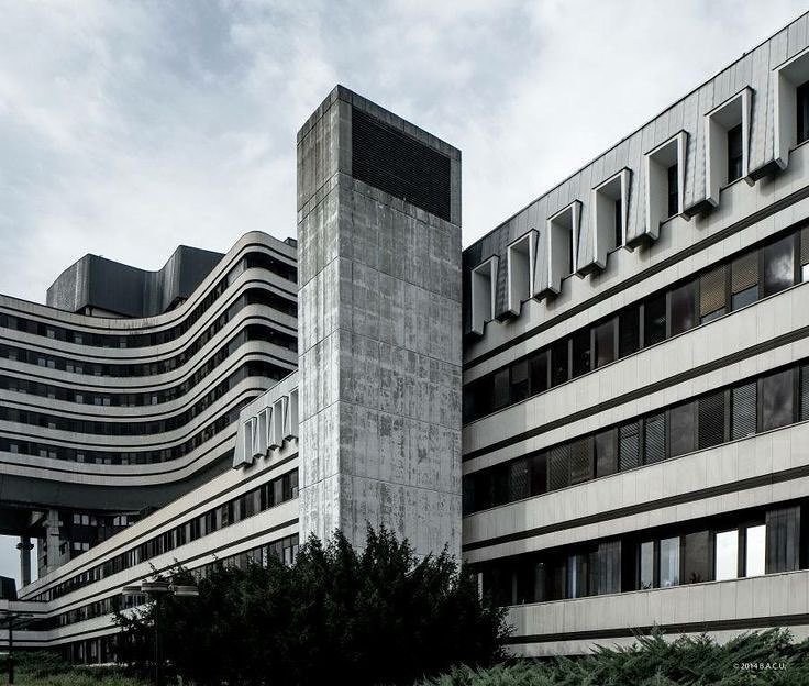 Archillect ID 393346