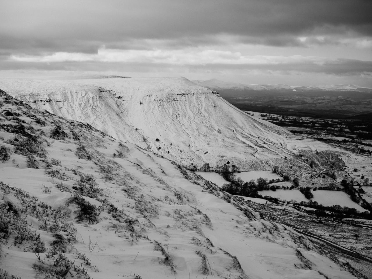 Archillect ID 393431