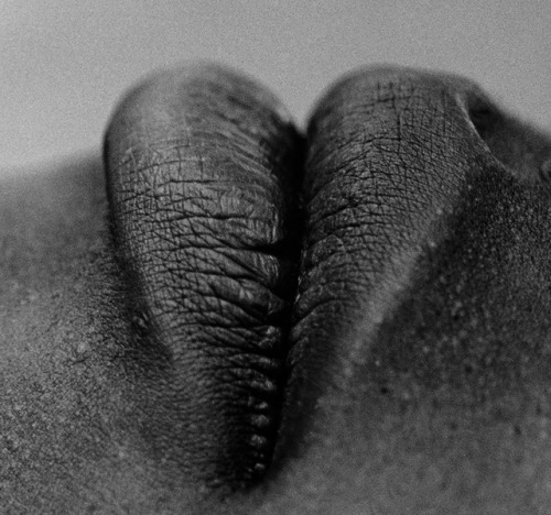 Archillect ID 393475