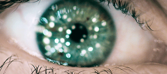 Archillect ID 393477