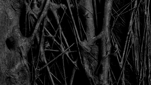 Archillect ID 393529