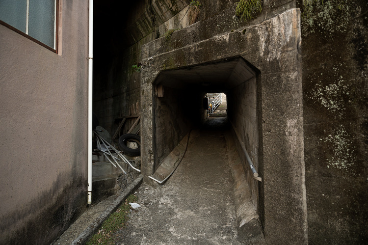 Archillect ID 393531