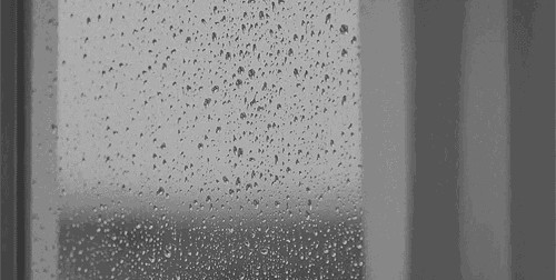 Archillect ID 393558