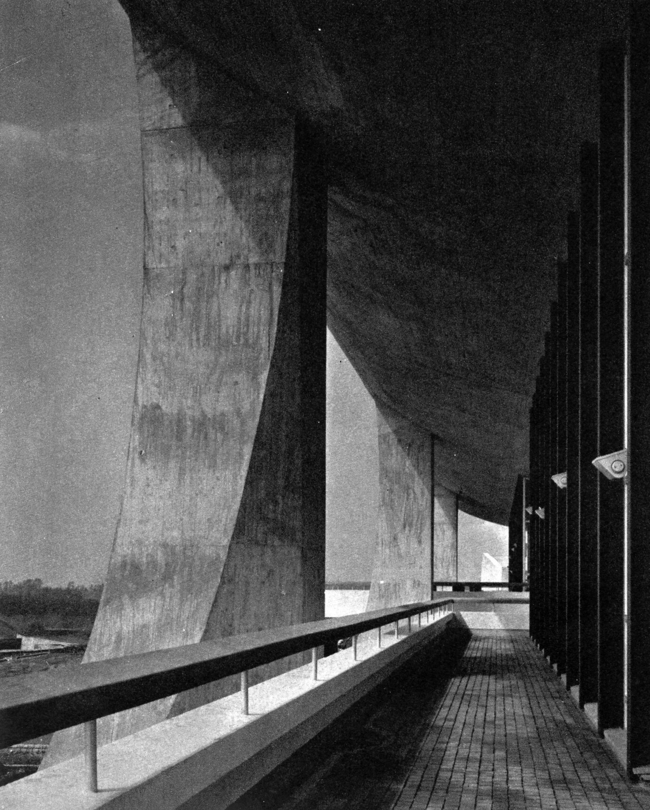 Archillect ID 393559