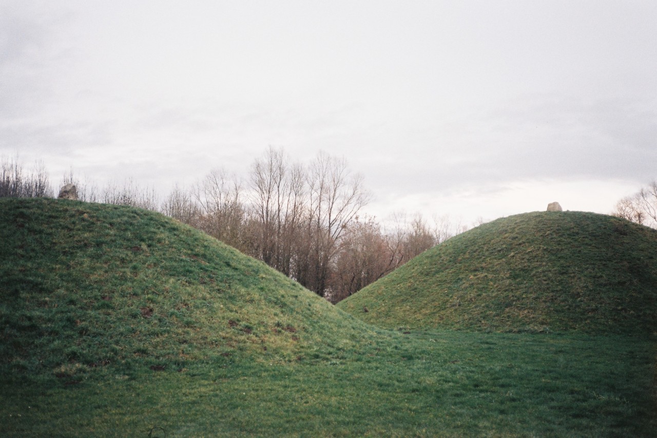 Archillect ID 393589