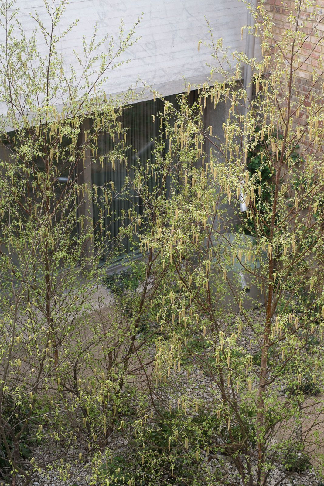 Archillect ID 393597