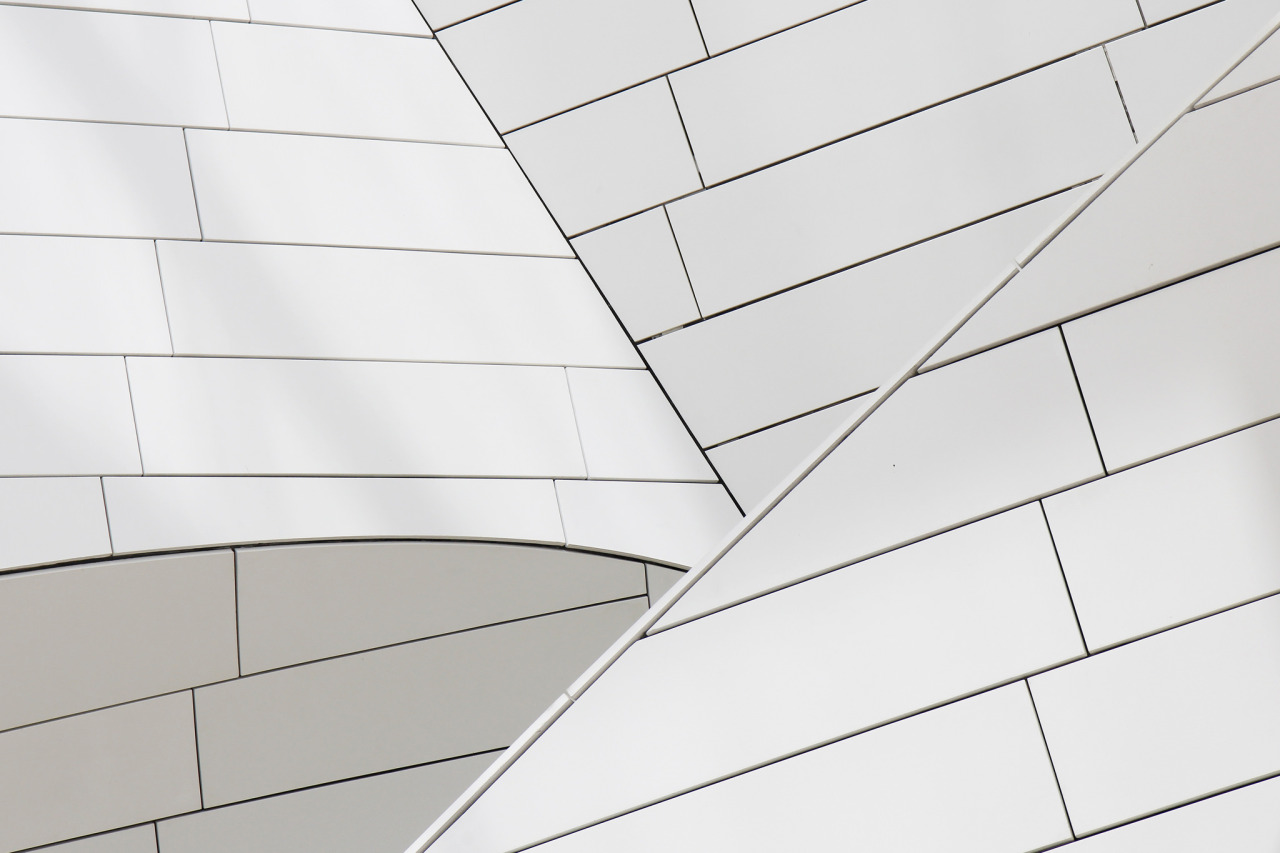 Archillect ID 393623