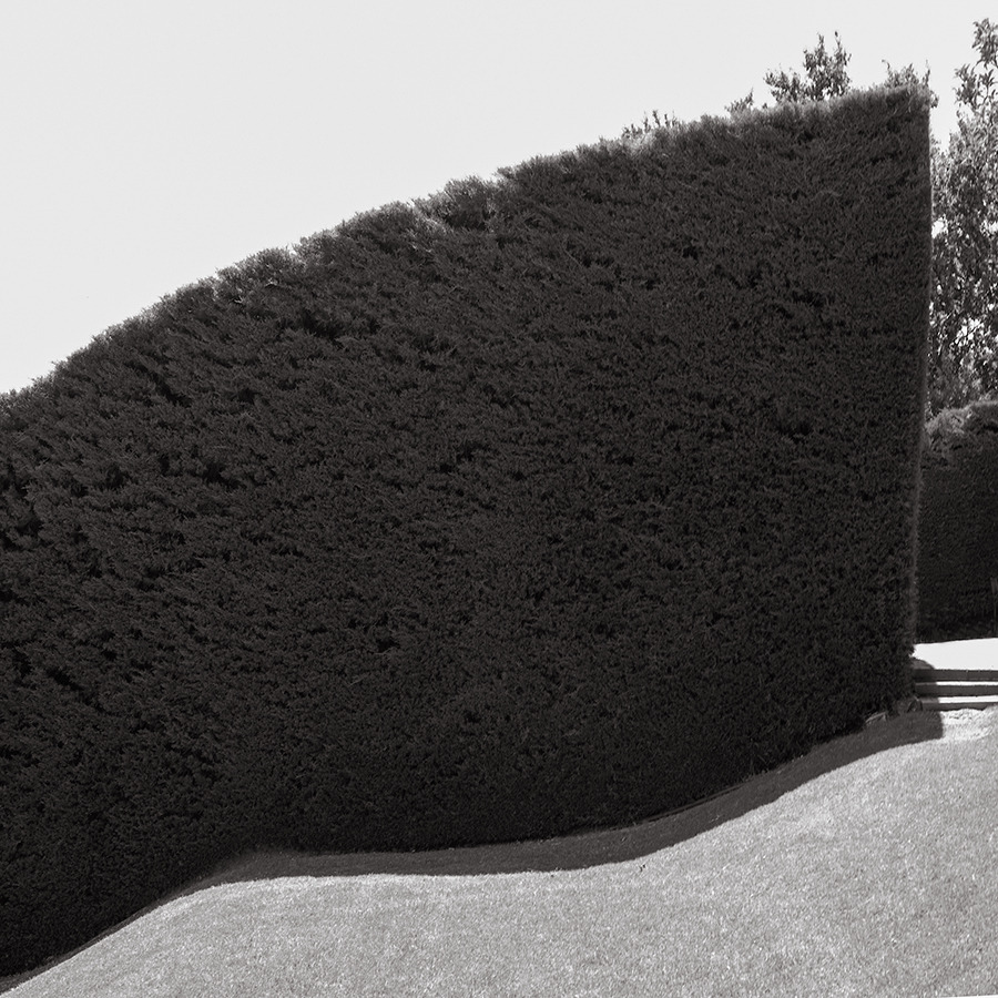 Archillect ID 393624