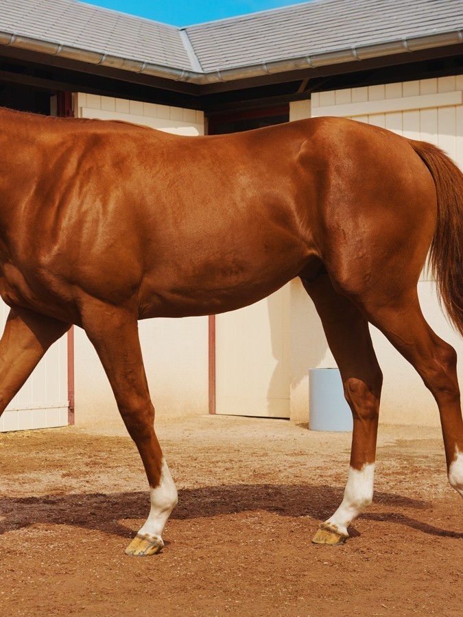 Archillect ID 393632