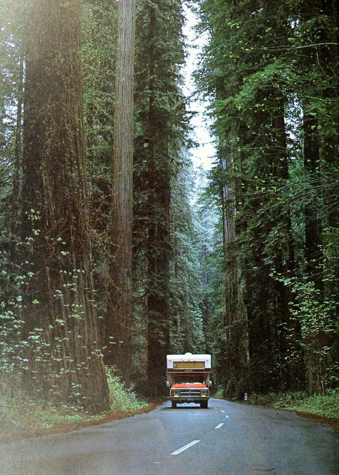 Archillect ID 393726