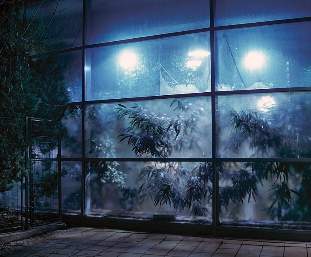 Archillect ID 393729