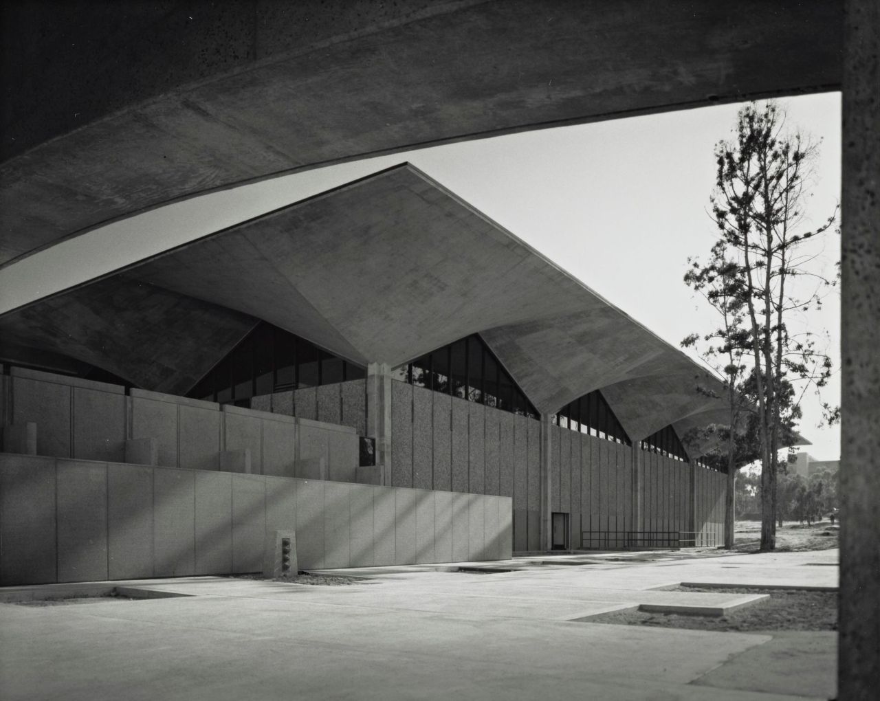 Archillect ID 393733