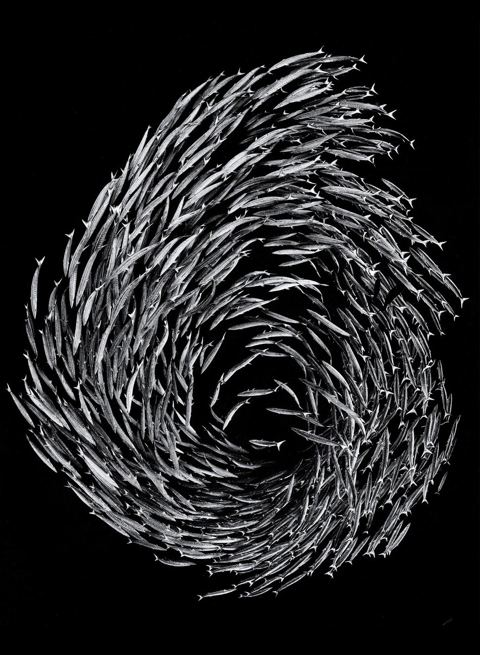 Archillect ID 393751