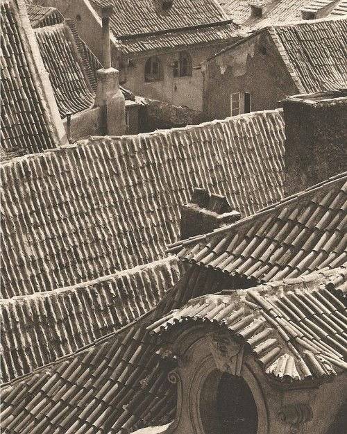 Archillect ID 393772