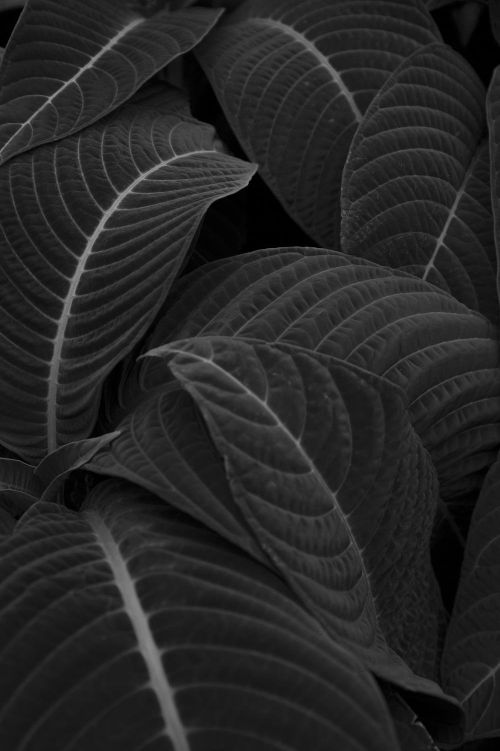 Archillect ID 393776