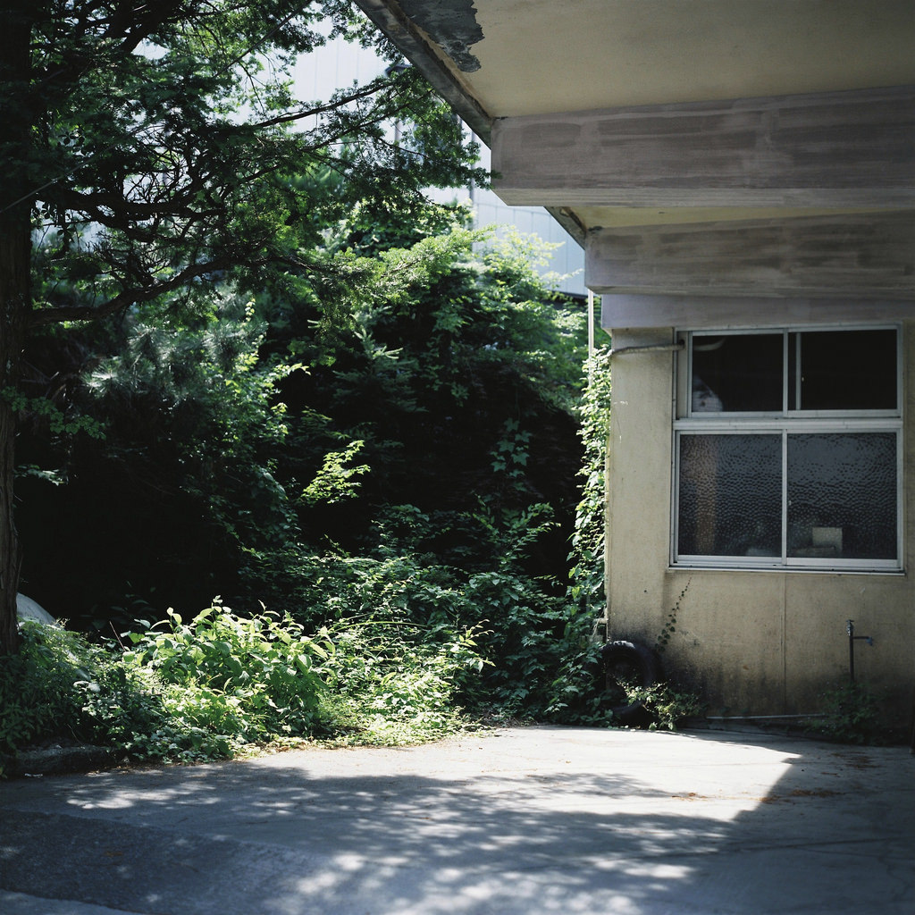 Archillect ID 393781