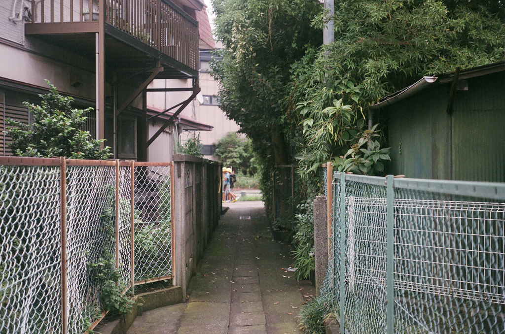 Archillect ID 393784