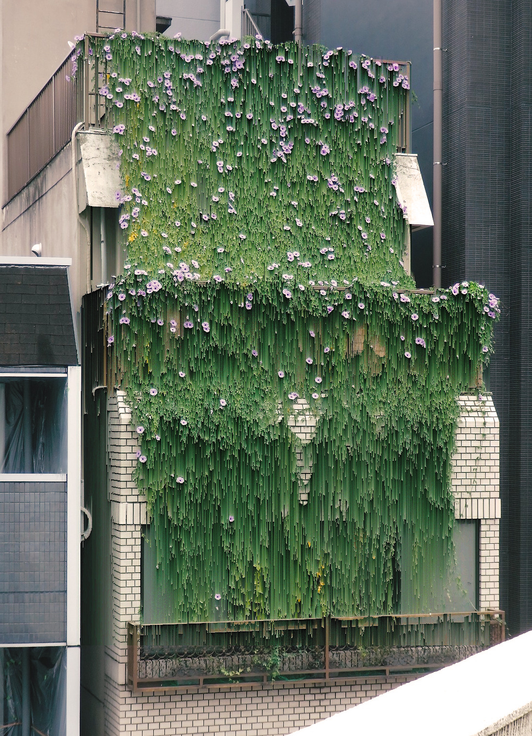 Archillect ID 393813