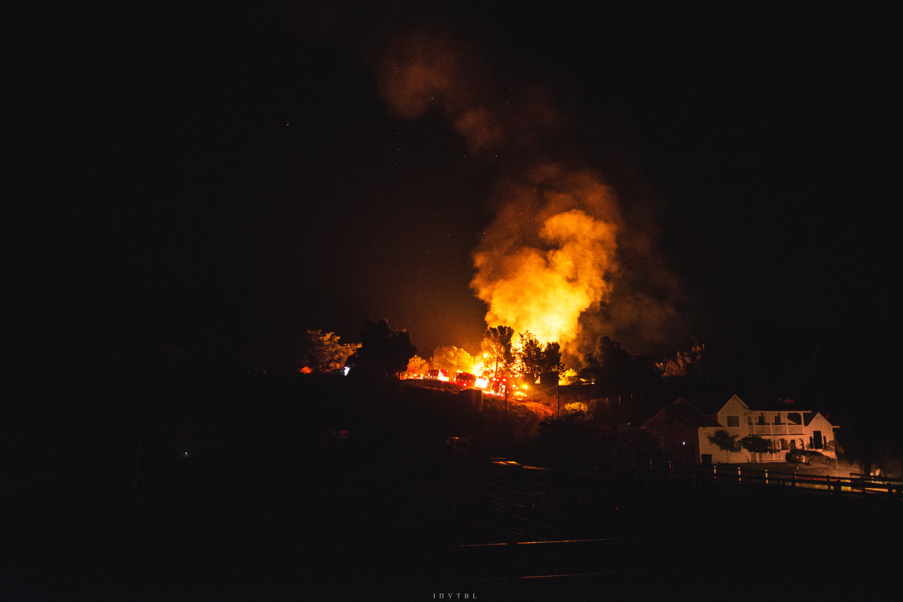 Archillect ID 393843