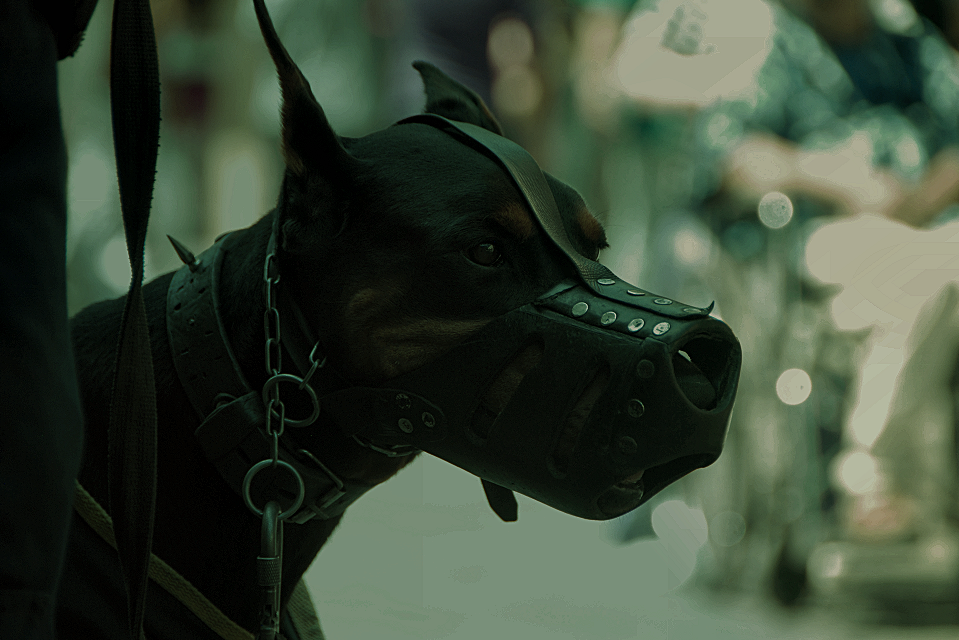 Archillect ID 393846