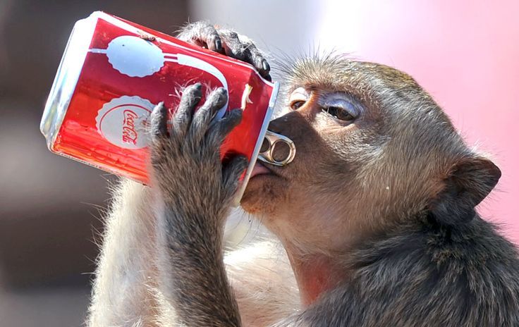 Archillect ID 393852