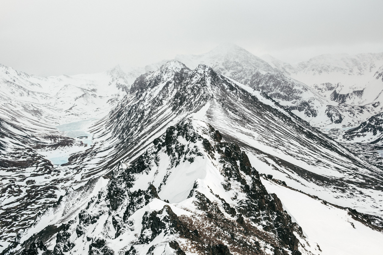 Archillect ID 393856