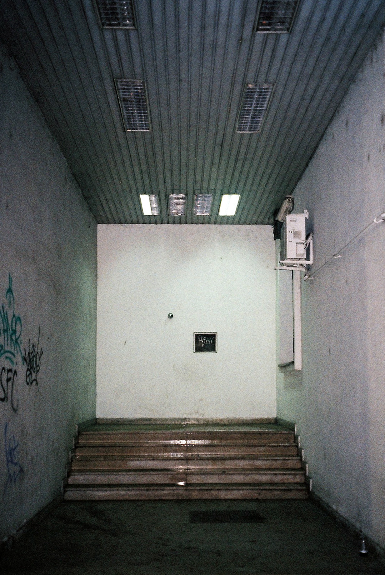 Archillect ID 393857