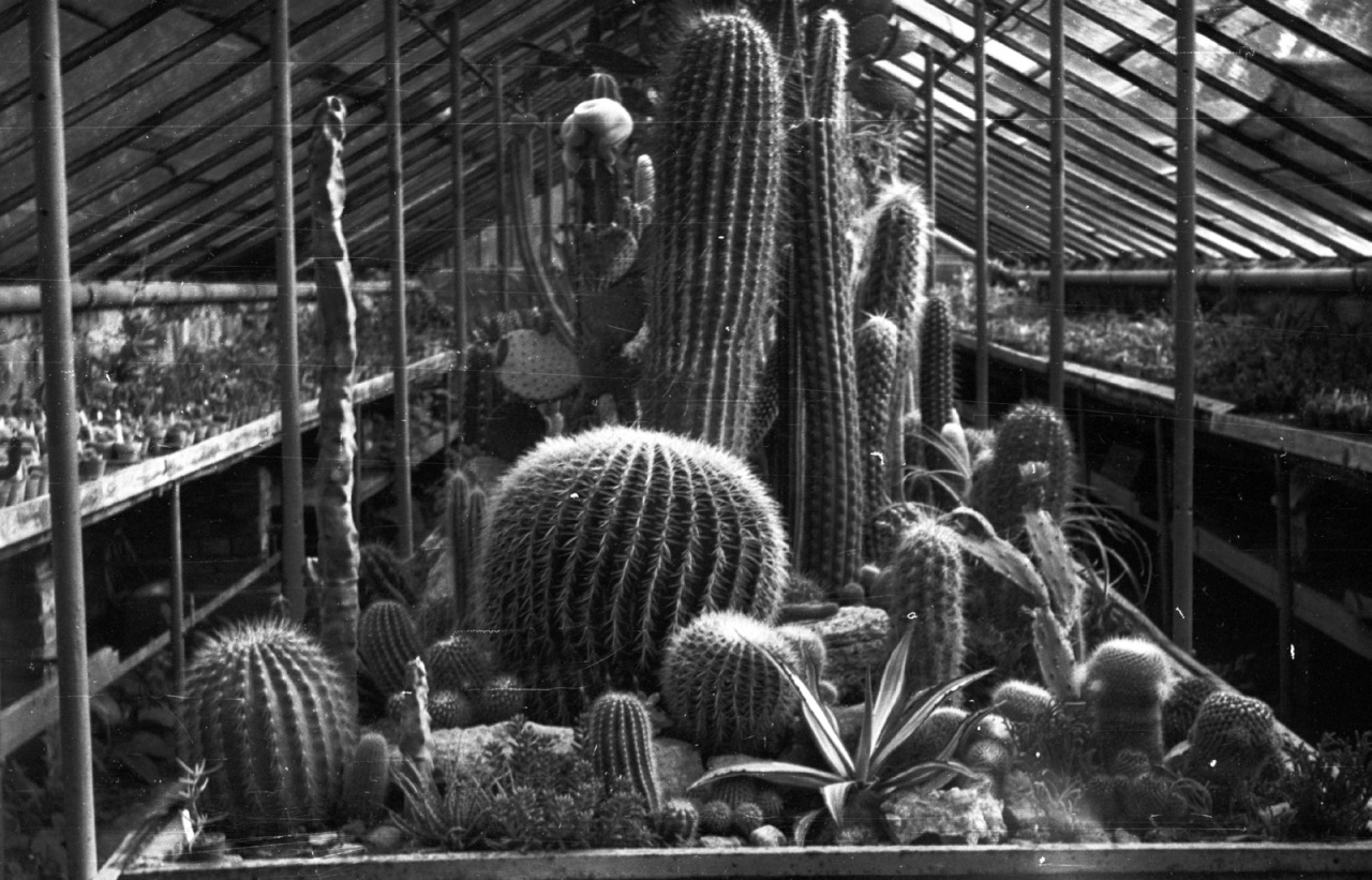 Archillect ID 393880