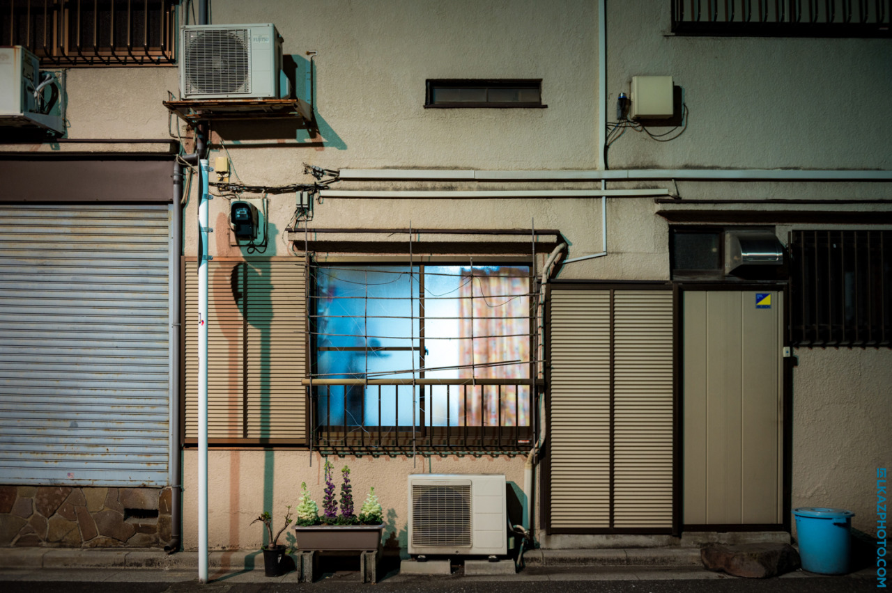 Archillect ID 393911