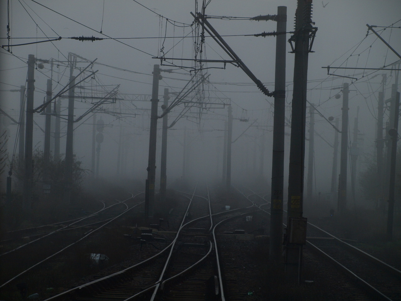 Archillect ID 393919