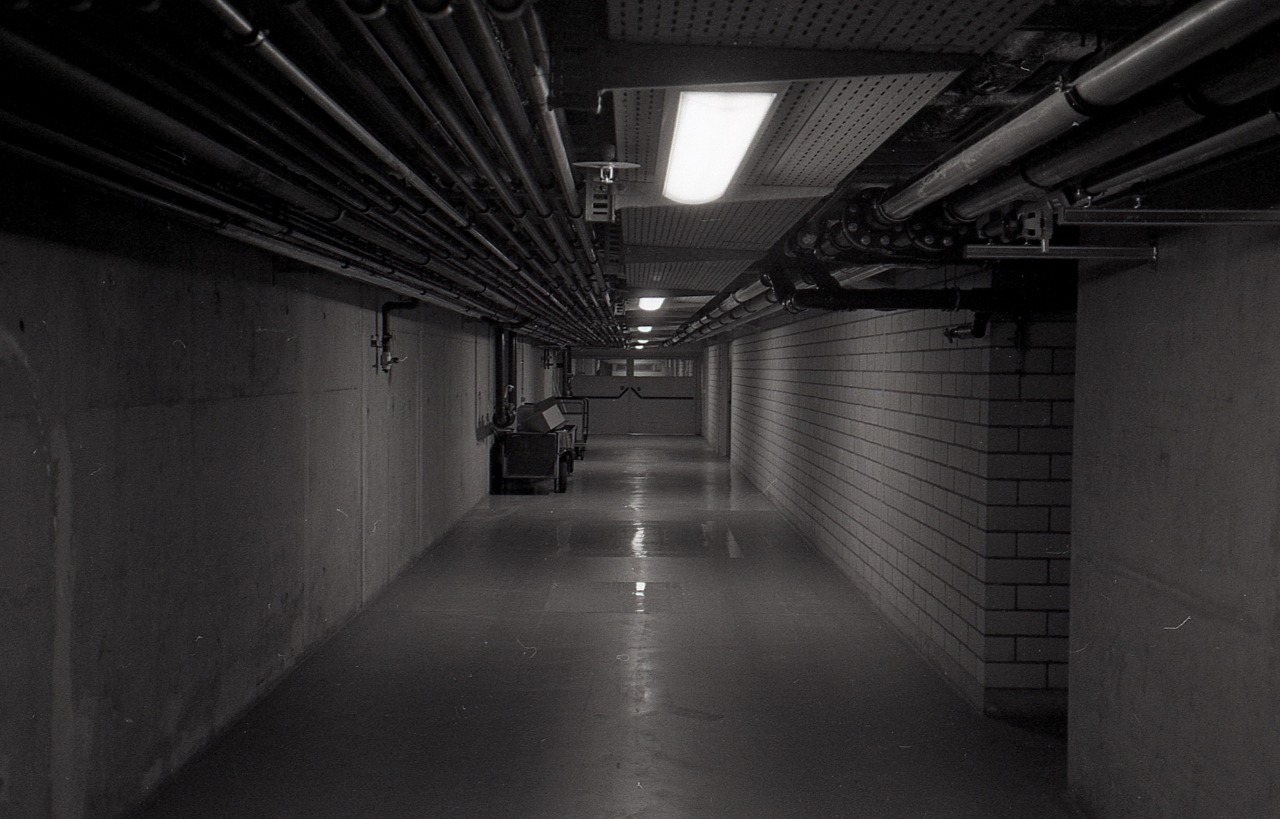 Archillect ID 393938