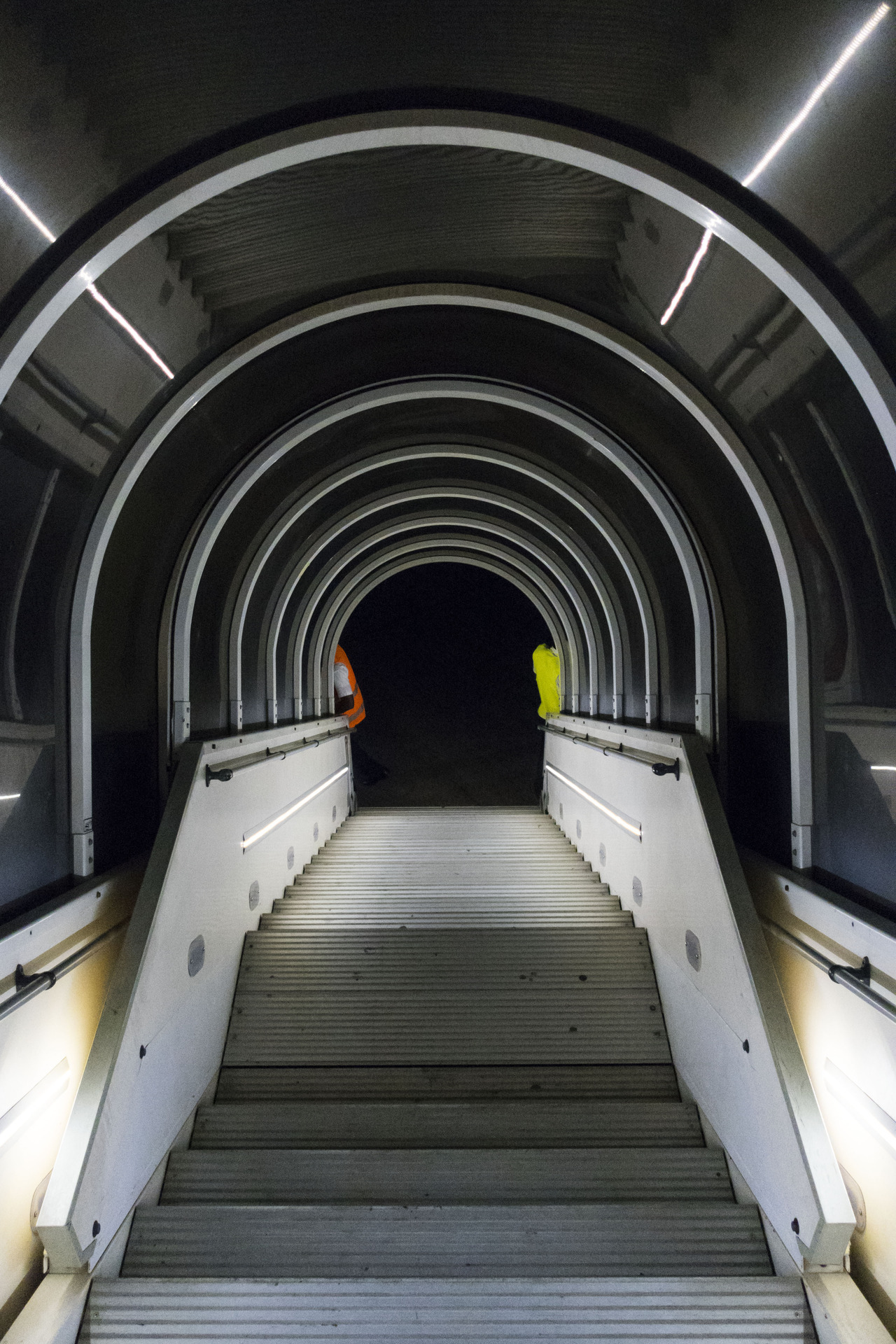 Archillect ID 393943