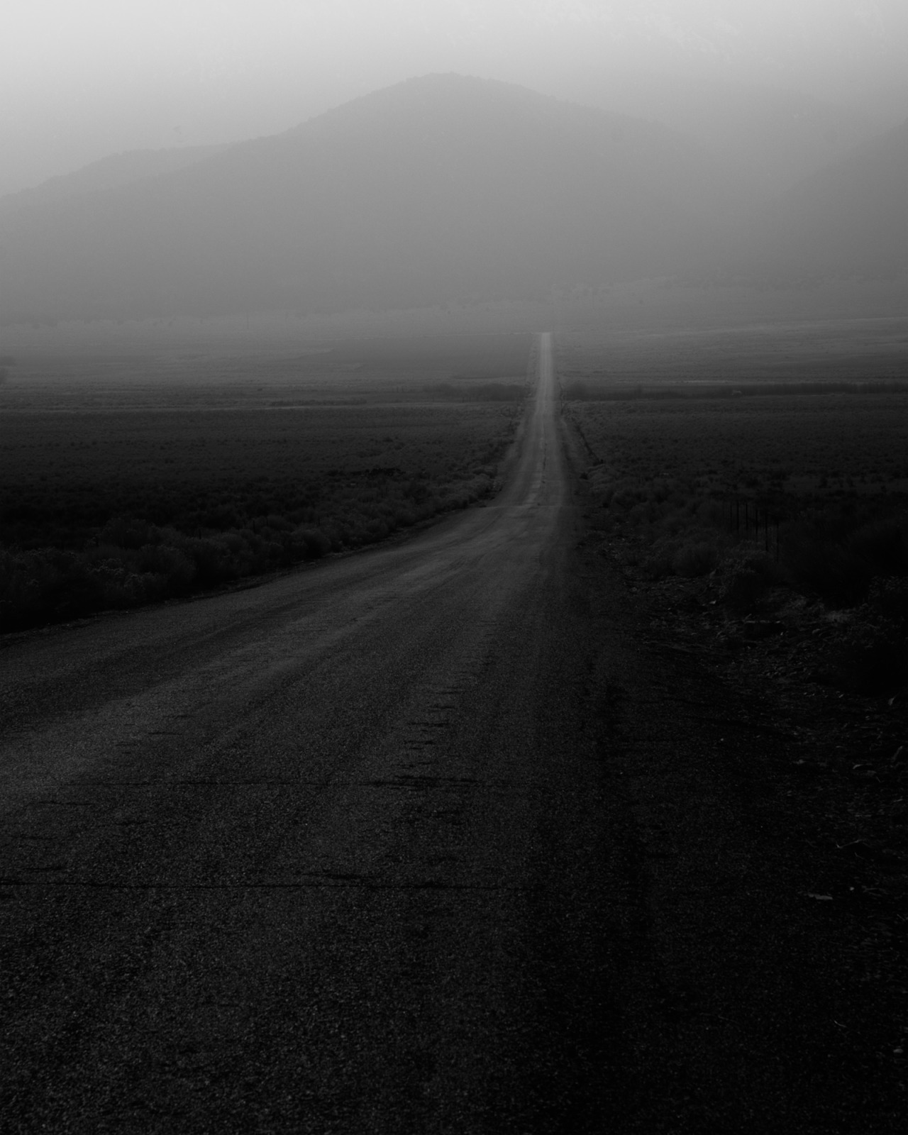 Archillect ID 393960