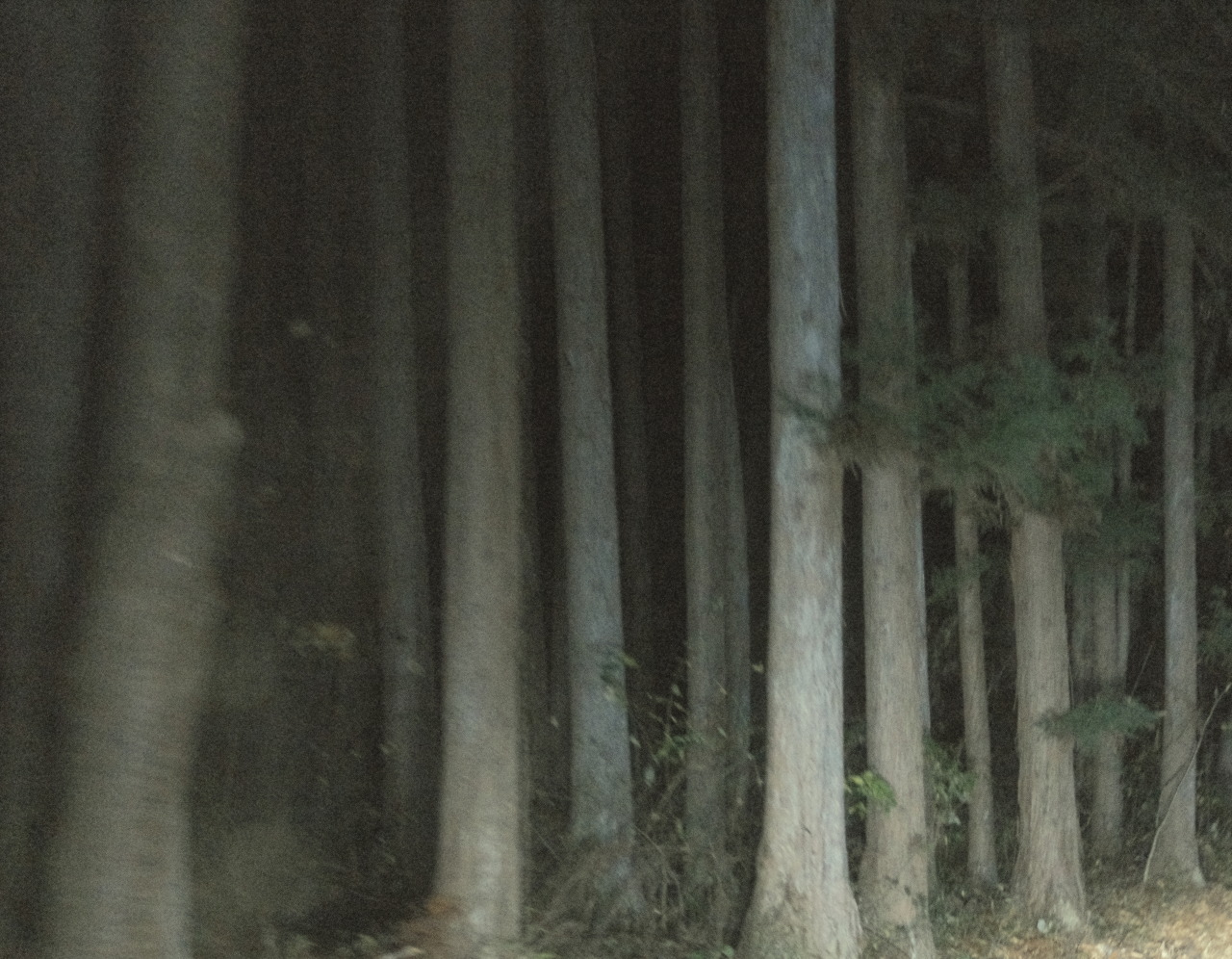 Archillect ID 394001