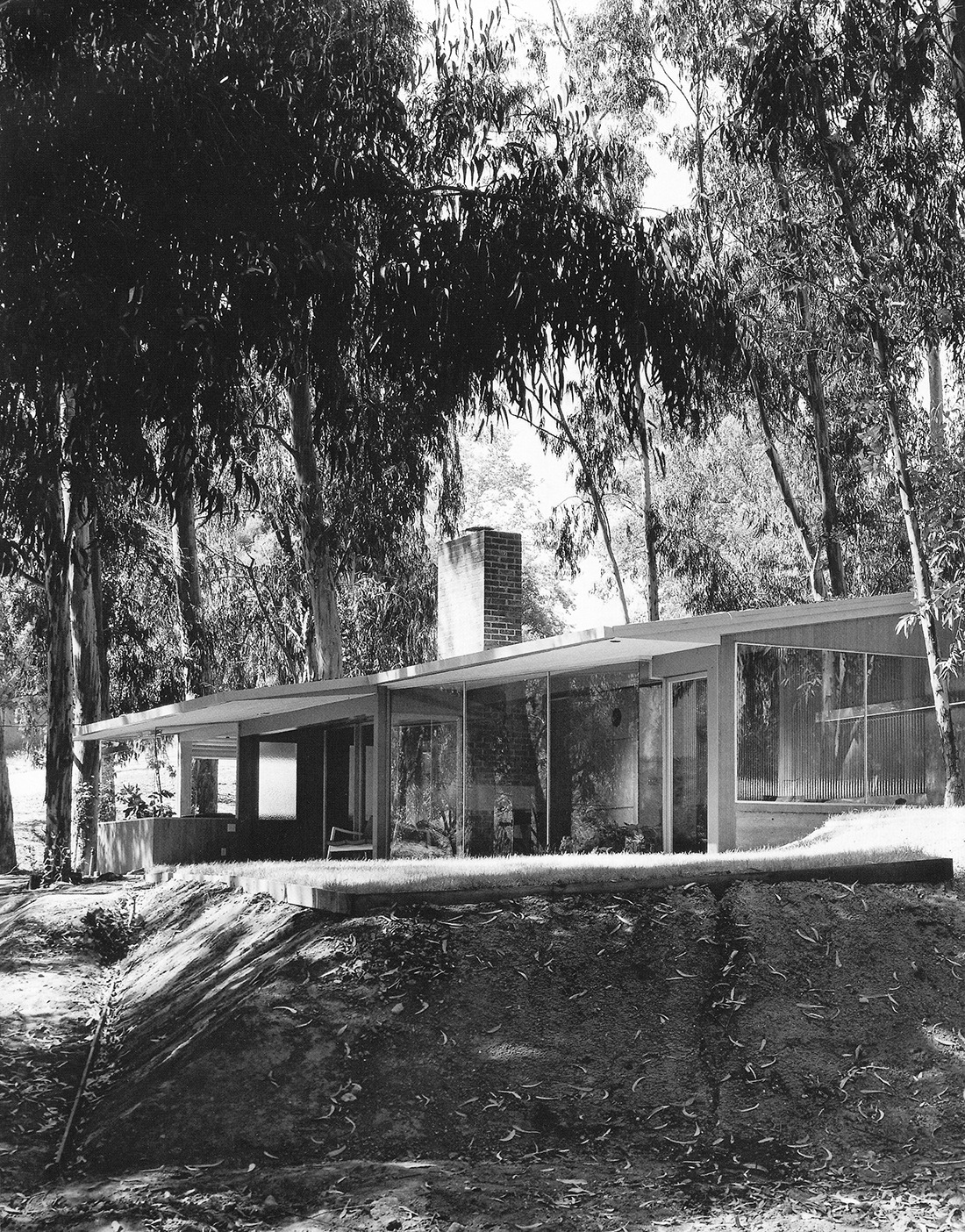 Archillect ID 394008