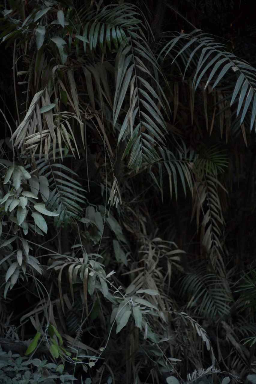 Archillect ID 394032